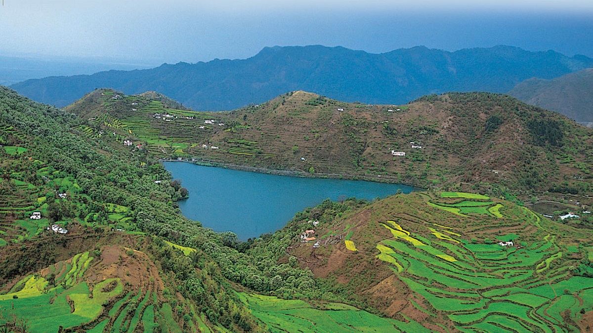 Corbett Canopy Home Stay